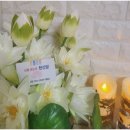 한보빌라 | 인천점집 추천 점 잘보는 집 천신당