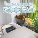 힐링 스파 | [홍대두피관리 핫플] 모생떼헤드스파 합정점 | 숲속 감성 포레스트 힐링스파 후기