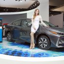 서울자동차 이미지