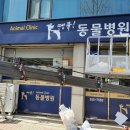땡큐동물병원 이미지