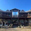 파파야 펜션 | 경주 애견동반숙소 파파야 애견펜션 다녀온 후기