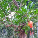 함양읍사무소 이미지