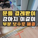 영통3동 행정복지센터 회의실 _영통구 | 수원 문틀 걸레받이 시트지 시공, 강아지 이빨자국 복원