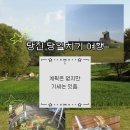 원더우맘 | 5월 당일치기 여행지 추천 | 당진 당일치기 코스 (feat. 거지여행)