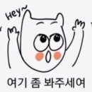 에이치잉글리시