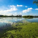 예전 행정사 사무소 이미지