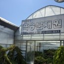 흑송분재원