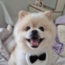 오순독순 이미지