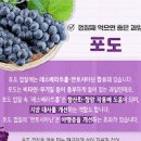 포도 효능 포도씨 포도 칼로리 제철 포도즙 먹는 법 포도 보관법 이미지