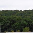 금마면 인흥마을회관 이미지