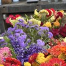 초두농장 이미지