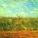 4월의밀밭 이미지