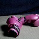 엘리트 복싱 이미지