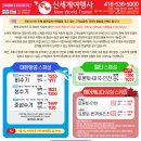 (주)신세계여행사 - 제주시 | (주)신세계여행사