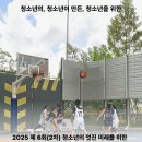 2025 제6회 (2차) 청소년의 멋진미래를 위한 서대문구 3X3농구대회 개최 이미지