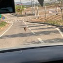 합덕마을북카페 | 당진 아이랑 가볼만한곳, 하루 코스로 좋았던 신리성지 합덕성당 숲놀이터