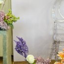 미노스프라자 이미지