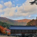 하동농협하나로마트중앙점 이미지