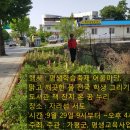읍면 평생학습 프로그램민화그리기 | 가평군 자라섬 서도 일원서 2018 평생교육 어울림 큰잔치 개최합니다.