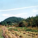 서천 건지산성 이미지