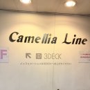 세우여행사 | 배타고 후쿠오카 뉴카멜리아호 2등실 다인실 후기