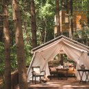 클럽 엠 패밀리 이미지