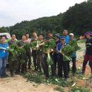 국민건강보험공단홍천지사 이미지
