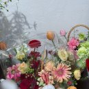 씨제이올리브영(주) 부산동아대점 | 부산 하단 꽃집 플라워마켓수화 꽃바구니 S사이즈 후기, 어버이날 꽃선물 준비 🌸