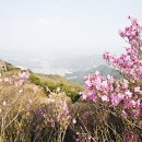 천마산식당 이미지