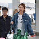 수영 이미지