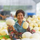 가브리엘농장 이미지