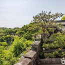 진주 의기사 이미지