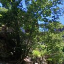 구천동펜션모텔 이미지