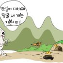 토끼의지혜 이미지