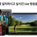 채널하나여행사