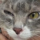 진성동물병원 이미지