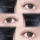 씨에스뷰티