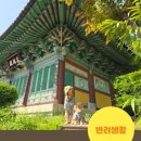 스테이댕댕