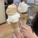 (주)템템 이미지