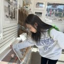 DOG 깨비 | 37•날 좋은 에레이를 사랑해/The Cheesecake Factory/Pink&#39;s Hotdog/Moscot/Sunset Plaza/Supreme/Mung ga