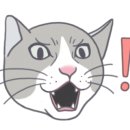 그놈쭈꾸미 이미지