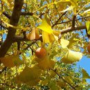 원농장1 이미지