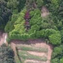 대지농장(1) 이미지