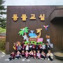 ❤️행복이 넘치는 리더스 3반❤️ 서울대공원 -동물 사랑 유치원 이미지