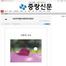 [중랑신문 - 수요디카시광장] 사랑의 기도 / 이유상 이미지