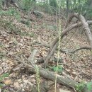 포천개울가 이미지