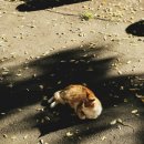 위미한의원 이미지