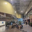 동서프라자 | 아이랑 평창 휘닉스파크 블루동 숙박 + 편의시설 후기(주자꿀팁)