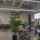 워시 앤 웍스 이미지