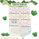 비실연꽃마을 이미지